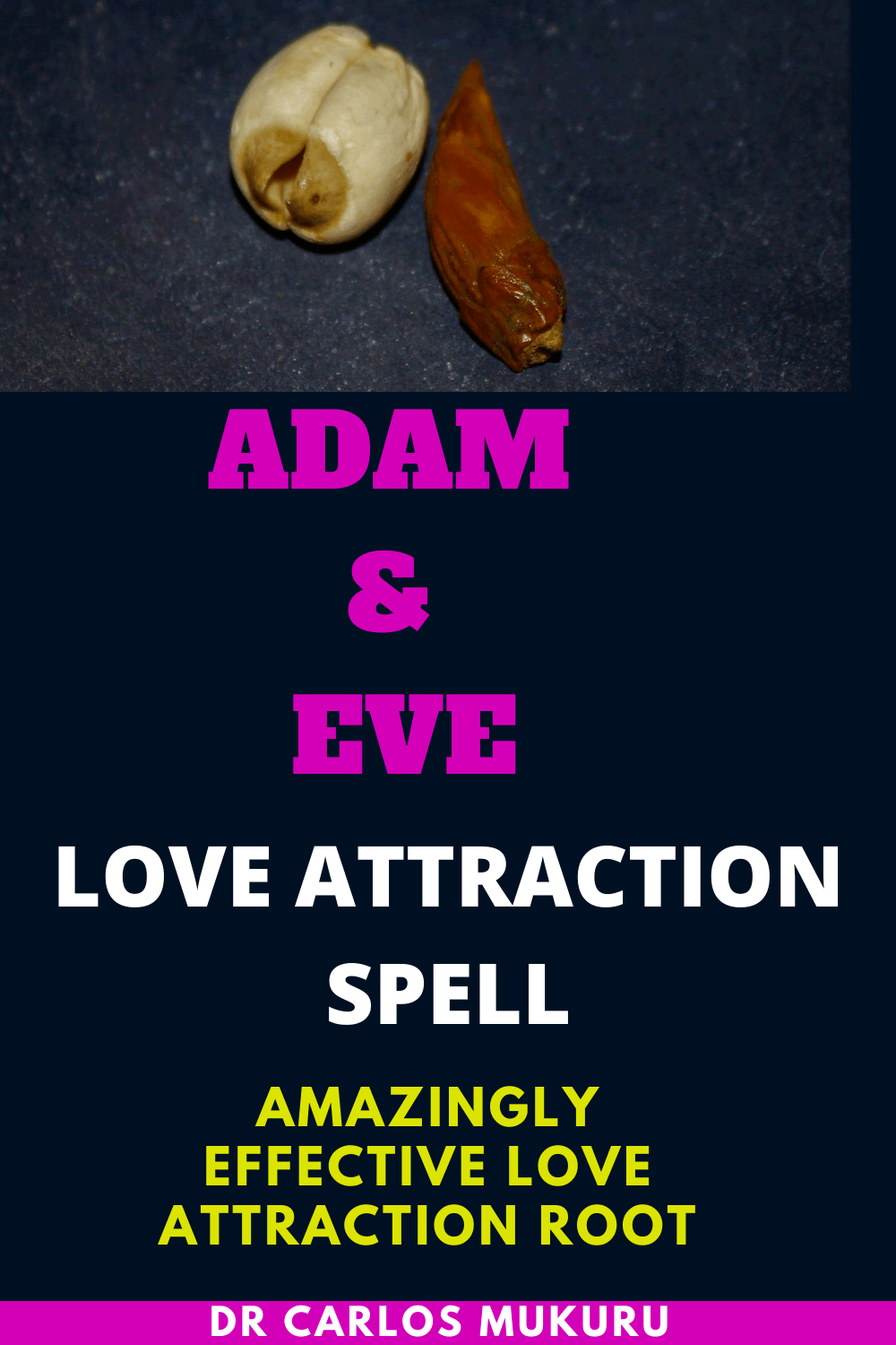 adam-and-eve-root-spell-for-love-attraction